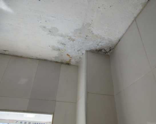 当出现什么情况需要进行房屋安全鉴定？