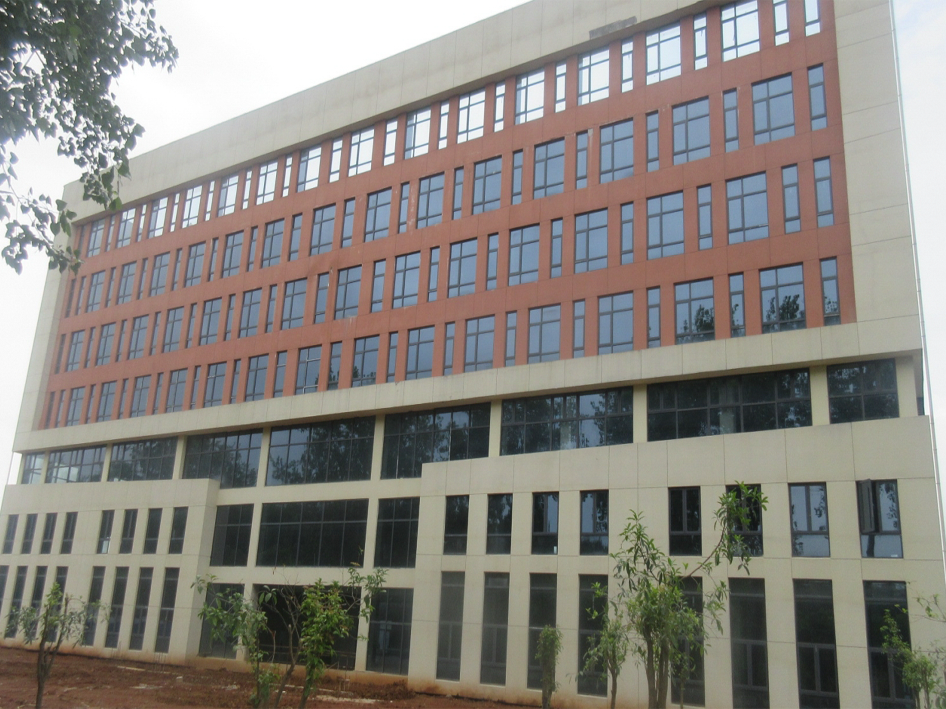 鄂州市华容区某工业厂房可靠性及抗震鉴定项目