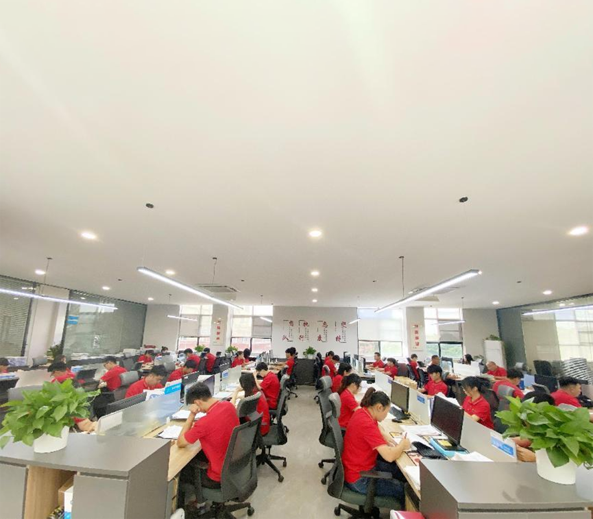 专业的技术服务团队 专业的技术服务团队